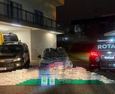 No feriado da Independência, PMPR realiza apreensões de drogas e prisões