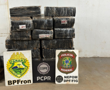 Polícias apreendem mais de 1,3 tonelada de maconha em Santa Helena em dois dias