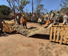 CBMPR intensifica treinamentos de Manejo Integrado do Fogo contra incêndios florestais