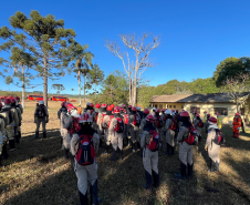 CBMPR intensifica treinamentos de Manejo Integrado do Fogo contra incêndios florestais