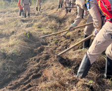 CBMPR intensifica treinamentos de Manejo Integrado do Fogo contra incêndios florestais