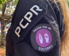 PCPR prende 1,3 mil pessoas em operação nacional de combate à violência contra a mulher