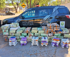PMPR apreende 1 tonelada de maconha em Tapira: prejuízo ao crime é de R$ 2 milhões