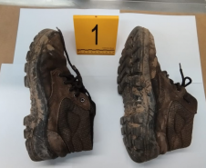Polícia Científica do Paraná recebe reconhecimento internacional por pioneirismo na Geologia Forense