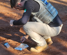 Polícia Científica do Paraná recebe reconhecimento internacional por pioneirismo na Geologia Forense