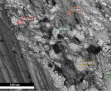 Polícia Científica do Paraná recebe reconhecimento internacional por pioneirismo na Geologia Forense