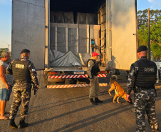 Operação Sinergia III: 26 pessoas são presas no 1º dia de ação no Norte do Paraná