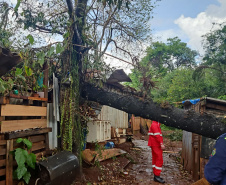Corpo de Bombeiros do Paraná alerta sobre cuidados diante de fortes chuvas e ventos