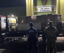 PMPR apreende maconha, cigarros contrabandeados e mercadorias ilegais em ações de fronteira