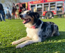 Bombeiros promovem evento para crianças em celebração aos 113 anos da corporação