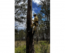 Bombeiros iniciam treinamento de Força-Tarefa que destaca capacidade de resposta do Paraná
