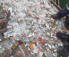 PCPR destrói 300 mil garrafas em operação contra bebidas irregulares em Curitiba e RMC