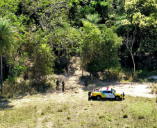 Operação Mata Atlântica em Pé: PMPR aplica mais de R$ 19 milhões em multas