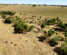 Operação Mata Atlântica em Pé: PMPR aplica mais de R$ 19 milhões em multas