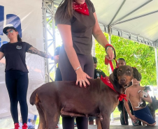 2ª Cãominhada da Polícia Penal promove integração com a comunidade neste sábado