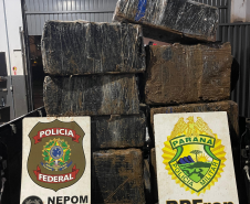 Em ações distintas, PMPR apreende cerca de 343 quilos de maconha na região Fronteira