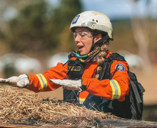 Bombeira paranaense participa de curso de referência sobre prevenção e combate a incêndios florestais no Chile