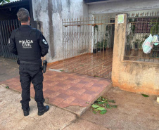 PCPR lidera ação que cumpre 44 mandados em 19 estados contra exploração sexual infantil