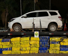 PMPR apreende quase 5 toneladas de maconha na região Noroeste em dois meses