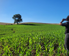 Ciência e perícia: como a Polícia Científica atua em crimes contra o meio ambiente