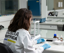 Provas periciais fortalecem investigações e ajudam Paraná a atingir alto índice de solução de homicídios