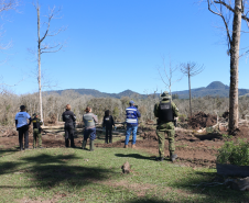 Ciência e perícia: como a Polícia Científica atua em crimes contra o meio ambiente
