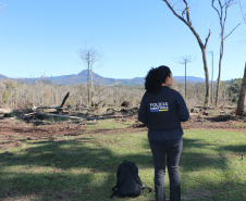 Ciência e perícia: como a Polícia Científica atua em crimes contra o meio ambiente