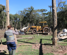 Ciência e perícia: como a Polícia Científica atua em crimes contra o meio ambiente