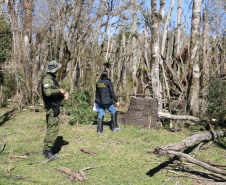 Ciência e perícia: como a Polícia Científica atua em crimes contra o meio ambiente