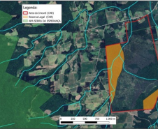 Ciência e perícia: como a Polícia Científica atua em crimes contra o meio ambiente