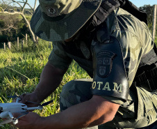 Satélite e drones elevam eficiência da PMPR contra crimes ambientais