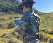 Satélite e drones elevam eficiência da PMPR contra crimes ambientais