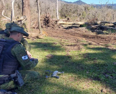 Satélite e drones elevam eficiência da PMPR contra crimes ambientais
