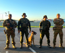 Operação Scutum Limes: PMPR reforça segurança na fronteira e gera prejuízo milionário ao crime