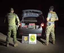 PMPR apreende armas e mais de 300 quilos de maconha em ações na Fronteira