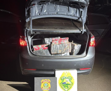 PMPR apreende armas e mais de 300 quilos de maconha em ações na Fronteira