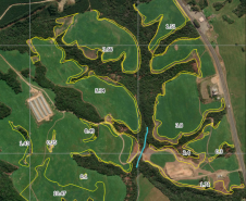 PMPR multa proprietária em R$ 330 mil por plantio ilegal em área embargada em Tibagi