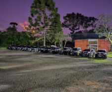 PCPR e PMPR prendem cinco pessoas durante operação contra o tráfico de drogas