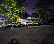 PCPR e PMPR prendem cinco pessoas durante operação contra o tráfico de drogas