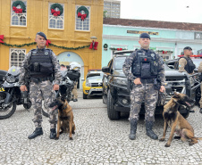 PMPR reforça policiamento em todo o Paraná durante período de compras e festas de fim de ano