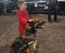 PCPR na Comunidade leva atendimento a moradores de cinco cidades nesta semana