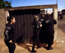 Operação Sinergia III é lançada para regiões dos Campos Gerais e Centro do Estado