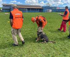 CBMPR realiza 2ª Certificação Nacional de Cães de Busca e Resgate em Cianorte 
