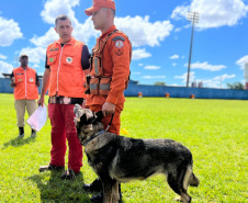 CBMPR realiza 2ª Certificação Nacional de Cães de Busca e Resgate em Cianorte 