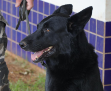 PMPR realiza ação interativa com crianças da CMEI Dona Laura em Rio Bonito do Iguaçu