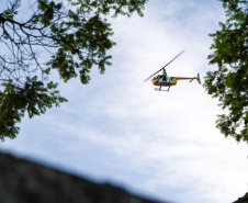 Polícias do Paraná cumprem 109 mandados em cinco estados contra organização criminosa