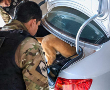 Polícias do Paraná cumprem 109 mandados em cinco estados contra organização criminosa