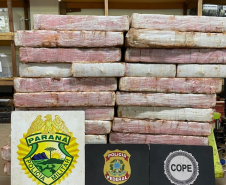 PMPR, PCPR e PF apreendem mais de 1 tonelada de maconha em Santa Helena