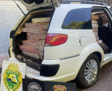 PMPR, PCPR e PF apreendem mais de 1 tonelada de maconha em Santa Helena