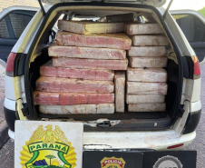 PMPR, PCPR e PF apreendem mais de 1 tonelada de maconha em Santa Helena